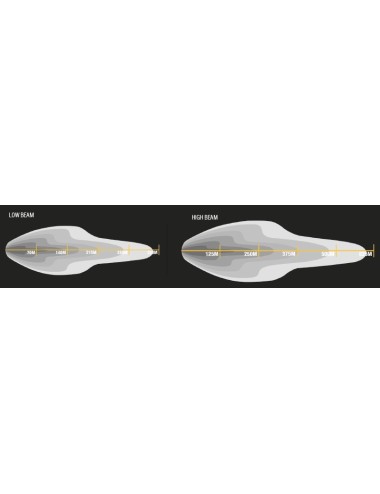 Phares de remplacement à leds Lumidrive Snow Plow / par paire (neuf)